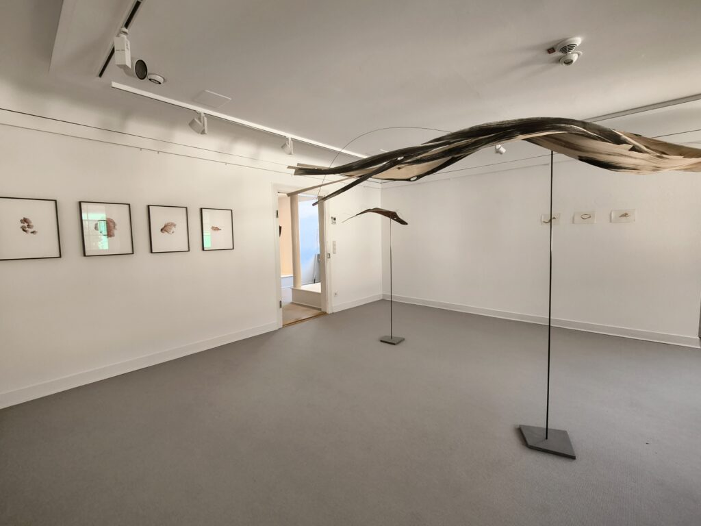 Stadtmuseum Hüfingen Traci Kelly Martin Schwer Foto A Faller